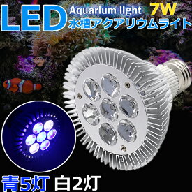 楽天市場 Led 青 E26 海水の通販
