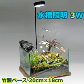 楽天市場 照明 スタンド 熱帯魚 アクアリウム ペット ペットグッズ の通販