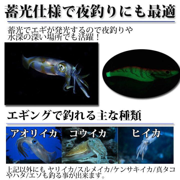 楽天市場 即日発送 エギ セット 夜光 30本セット 大量 30個 エギング 4号 3 5号 3号 2 5号 エギセット イカ釣り用 アオリイカ コウイカ ヒイカ 真タコ ルアー 釣具 仕掛け 送料無料 Wellvie Store