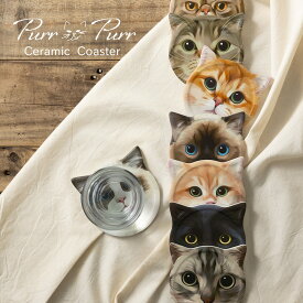 セラミック キャットフェイス コースター 猫グッズ 顔 2点セット 箱入り パーパー purr purr 食器 結婚祝い 引っ越し 新居 北欧デザイン ギフト プレゼント おうち おしゃれ