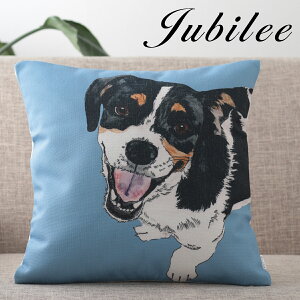�N�b�V�����J�o�[ �� ���� �h�b�O �f�U�C�� 45×45 �R�b�g�����l�� �u���[ �X�}�C�����O�h�b�O Daria Pet Design �v���[���g �M�t�g �V���� �V�� ���z���j�� �V�z �q�� �� ������ �������
