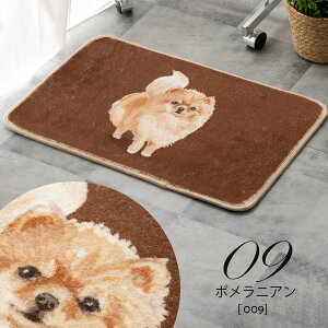 ���������N�у}�b�g ����~�ߕt 40x60cm ���� �� �L �A�[�g Jubilee �o�X�}�b�g �t���A�}�b�g �C���e���A �A���e�B�[�N�� ���r���O �M�t�g ���j�� �����z�� �V�� �k���f�U�C�� �v���[���g ��̓�