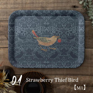 y^gCzyȂAꂪ₷ SGRou[f {^jXg ECAX JtF CMX p Jubilee 33cm H H H@OK v[g Mtg  V 