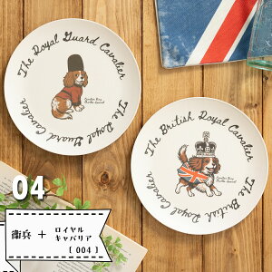 p R[M[ & LoA ou[My2ZbgzyȂAꂪ₷M SGRv[g JtF k  M 20cm H H v[g Mtg mM  