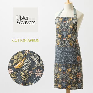 yGv AX^[EB[o[Y Ulster Weavers z ppB Gv Rbg Finch & Flower tB`t[  {^jJ _[NO[ JtF eB[^C uh jZb