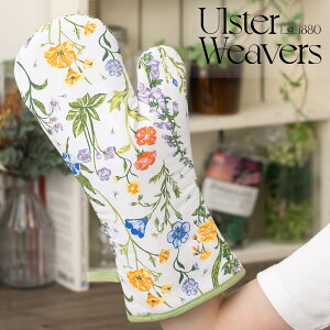 AX^[EB[o[Y Ulster Weavers ppB[J[ ~g O[u Kgbg Dog Days  IW pbh Ў̂ v[g Mtg V V zj Vz q 