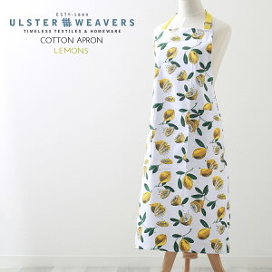 yGv AX^[EB[o[Y Ulster Weavers z ppB Apron fB[X O| Gv Rbg t[c ʕ CG[ Rbg v[g Mtg V zj 