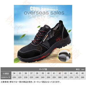 y\̔zSC ƌC Ȃ Y fB[X   ZteB[V[Y SXj[J[ A[NV[Y c |c ܐK[h C ₷ Ȃ 