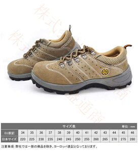 y\̔zSC ƌC Ȃ Y fB[X   ZteB[V[Y SXj[J[ A[NV[Y c |c ܐK[h C ₷ Ȃ 