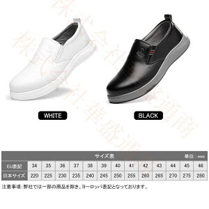 y\̔zSC ƌC Ȃ Y fB[X   ZteB[V[Y SXj[J[ A[NV[Y RȂ c |c ܐK[h C ₷ 