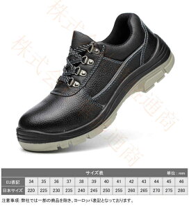 y\̔zSC ƌC Ȃ Y fB[X   ZteB[V[Y SXj[J[ A[NV[Y c |c ܐK[h C ₷ Ȃ 