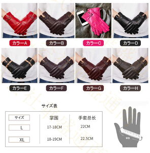 y\̔zlC v  Y U[ vO[u oCN O[u v  Y U[ h ۉQ oCNO[u  Y U[ ~p ނ am܁@X}zΉ@t