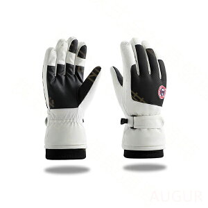 Xm[{[hO[u XL[O[u oCNO[u LbY WjA Y fB[X  O[u h g  ] oCN ʋ ʊw Y fB[X Mtg 