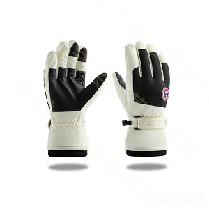 Xm[{[hO[u XL[O[u oCNO[u LbY WjA Y fB[X  O[u h g  ] oCN ʋ ʊw Y fB[X Mtg 