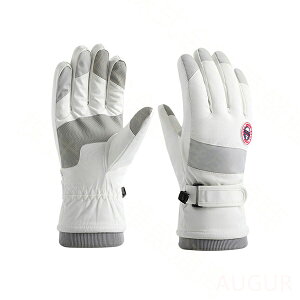 Xm[{[hO[u XL[O[u oCNO[u LbY WjA Y fB[X  O[u h g  ] oCN ʋ ʊw Y fB[X Mtg 