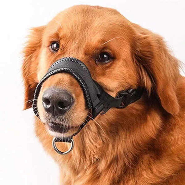 楽天市場 お散歩口輪 犬用 ペット 口輪 噛みつき 無駄吠え 防止 犬用ウェア 噛み癖防止 拾い食い防止 通気性 中型犬 大型犬 安心 トリミング トレーニング 傷舐め防止 メール便 Welove 楽天市場 お散歩口輪 犬用 ペット 口輪 噛みつき 無駄吠え 防止 犬用ウェア 噛み癖防止 拾い食い防止 通気性 中型犬 大型犬 安心 トリミング トレーニング 傷舐め防止 メール便 Welove