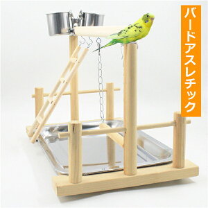 y\̔z ݂艺   ~܂ ^[ CR ؐ  ߋ Mt ͂ AX`bN xe h炵 Q tȒP