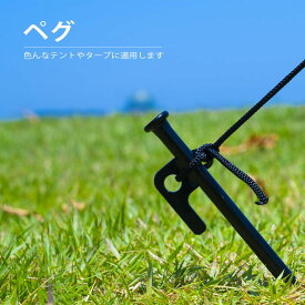 ペグ 20cm 強靭 スチールペグ キャンプ テント タープ 設営 レーザー溶接 伸線加工 防錆塗装