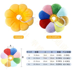 y\̔zGUxXJ[ L   \tg^Cv _炩 NA ی  pPA ybg h~  ی p  r Ռz 킢  ybgpi