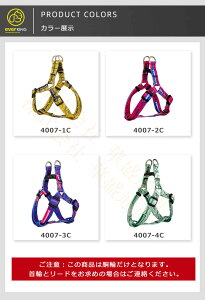  n[lX p xXg ^ ybg ʋC hbO U xXg { EȒP Ռz Oo  S [