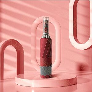 y\̔z܂肽ݎP P 10{ UVJbg J y 傫 ܂肽 |[^u Y fB[X jp ^b` ܂ɂ GȂ Jp Ռ ՔM rWlX 