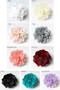 y\̔zRT[W tH[}  Ǝ  w  VtHƃI[KW[̃_ART[W  {  Ԃ   ̓ l ANZT[ V