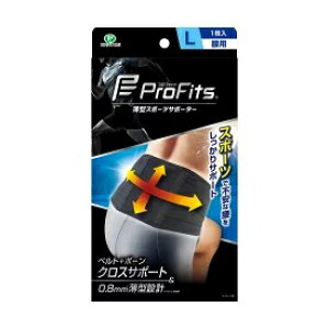 ^T|[^[PtBbcp@L EFp[Nyō3980~ȏőzAB