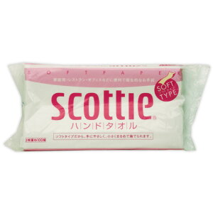 XRbeB@nh^I100@200yō3980~ȏőzB2