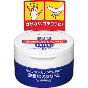 FTAf10CW[100g EFp[Nyō3980~ȏőzB2