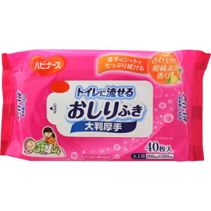 sWgCɗ邨ӂ唻40 EFp[Nyō3980~ȏőzAB