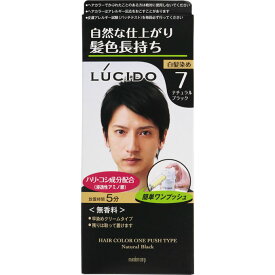 楽天市場 ヘアマニキュア 透明 特徴 ヘアケア パサつき 枝毛 白髪染め ヘアケア スタイリング 美容 コスメ 香水の通販
