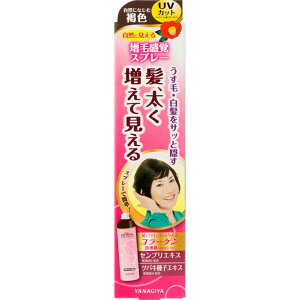 {X@fB[XgbvVF[hSPFN@10 EFp[Nyō3980~ȏőzAB