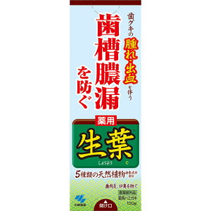 pn~KL@t@100g EFp[Nyō3980~ȏőzAB