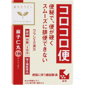 第2類医薬品　漢方セラピー麻子仁丸 ウェルパーク【税込3980円以上で送料無料】▲M1