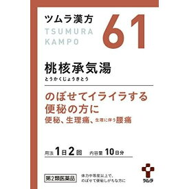 第2類医薬品桃核承気湯エキス顆粒　20包 ウェルパーク▲M1