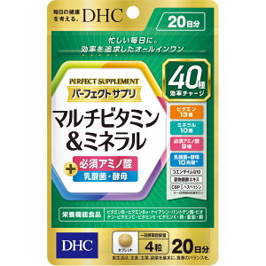 DHC20���T�v���}���`�r�^�~�����~�l�����@80����A