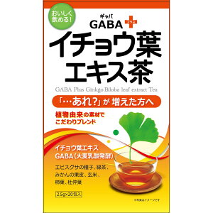 【アウトレット商数量限定在庫限り】GABA+イチョウ葉エキス茶 20包▲B1