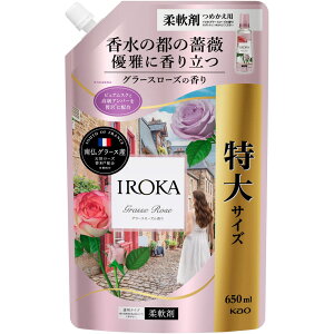 IROKAO[X[YXpEg@650mB2