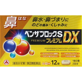 指定第2類医薬品ベンザBSPDX　12CP▲B2