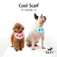＼在庫限り68％OFF／【ベストフレンズ クールスカーフ】犬 クール バンダナ 犬用 バンダナ ひんやり 冷感…