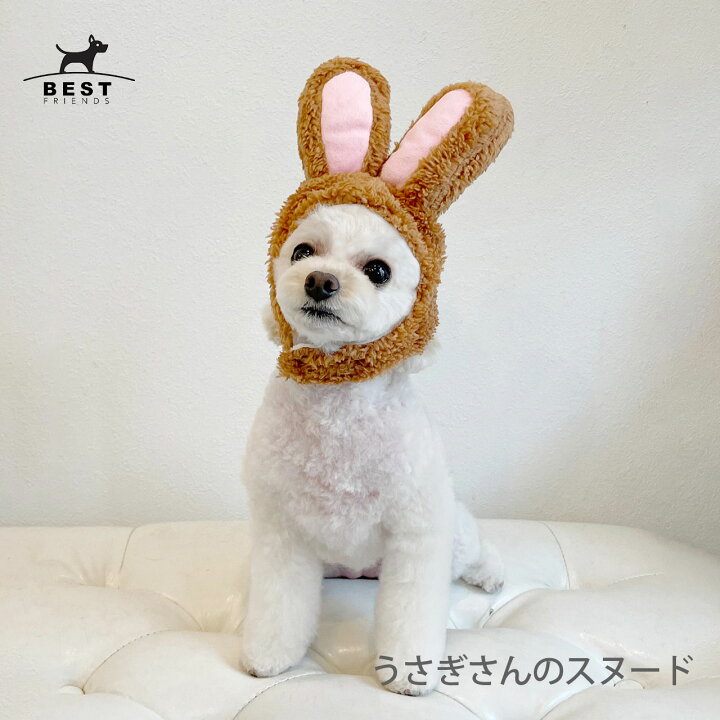 犬 おもちゃ ロープ 干支 うさぎ ウサギ 兎 卯 年賀状 お正月 おうちで遊ぼう おうち時間 オモチャ ペット トイ 玩具 Toy 小型犬 かわいい おもしろ インスタ映え ペットパラダイス ペット用品 ペット被り物 うさぎ 干支 お正月 年賀状 Royalroof Co Id