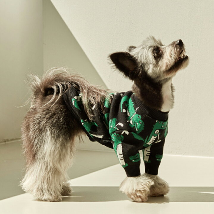 楽天市場 Andblank レイジークロコダイルニット Sm M L Xl Xxl 犬 服 犬の服 秋 冬 ニット ドッグウェア 海外ブランド おしゃれ キャラクター かわいい シンプル セーター ゴルフ ワニ 犬の服 ドッグウェア ベストフレンズ Best Friends ベストフレンズ