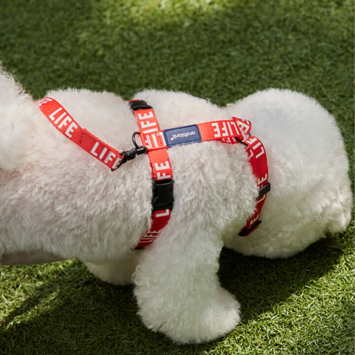 楽天市場 Andblank Life ライフ H型ハーネス S M L 犬 H型 ハーネス 胴輪 抜けにくい 雑誌 コラボ おしゃれ かわいい 海外 犬服 犬 服 犬の服 ドッグウェア ベストフレンズ Best Friends ベストフレンズ 楽天市場 Andblank Life ライフ H型ハーネス S M L 犬 H型 ハーネス 胴輪 抜けにくい 雑誌 コラボ おしゃれ かわいい 海外 犬服 犬 服 犬の服 ドッグウェア ベストフレンズ Best Friends ベストフレンズ