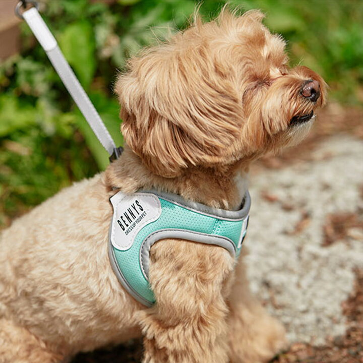 楽天市場 Ledライトプレゼント Bennys ベニーズ ベーシックハーネス S M L Xl 全8色 犬 ハーネス かわいい おしゃれ 抜けにくい クリップ 調整 人気 おしゃれ 胴輪 犬 小型犬 中型犬 散歩 ベスト型 メッシュ 韓国 海外 ブランド Best Friends ベストフレンズ