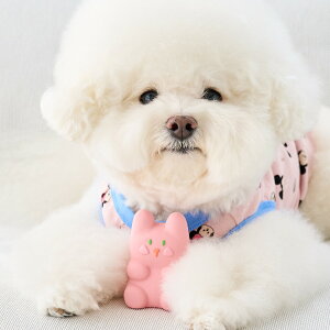 yBENNYS xj[YzAj} WF ebNXgCy  p ̂ VR ebNX  S S I`  ߋ 킢  lC ؍ COz