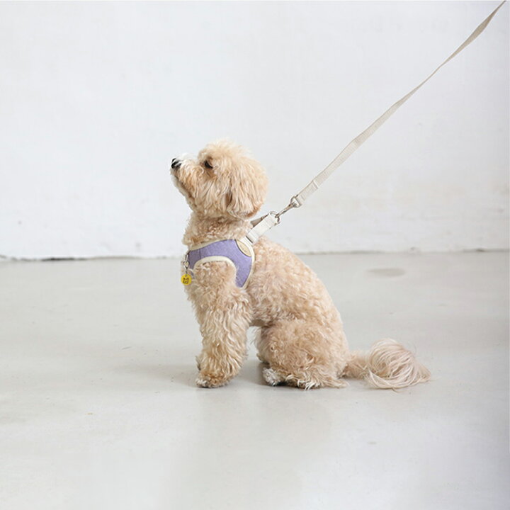 楽天市場 Bite Me バイトミー ベストハーネス用 リード 230cm 犬 リード ハーネス 胴輪 小型犬 ナチュナルカラー ミドルサイズ 長め 肩がけとしても 韓国ブランド 海外 お洒落 人気 犬 おもちゃ かわいい バイトミー Best Friends ベストフレンズ