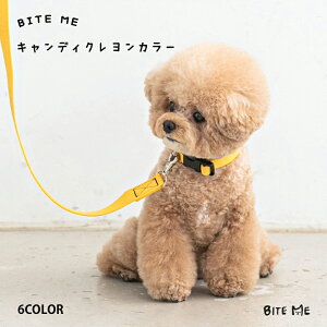 ドッグウェア かわいい 犬用首輪 リード ハーネスの人気商品 通販 価格比較 価格 Com