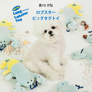 _N[|ōő500~OFF^yBITE ME oCg~[zuX^[ rbO^OgCy  傫 傫 rbO p ̂ ɂ v ^OvC  傫 ʂ