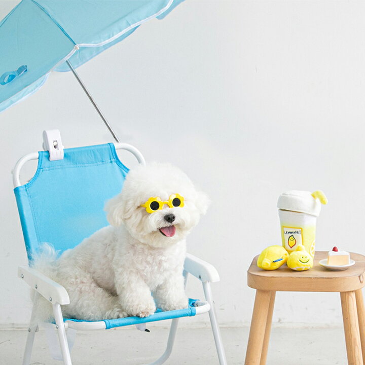 正規品販売 Bite Me バイトミー レモネード ノーズワークトイ セット 犬 おもちゃ 犬用おもちゃ 犬のおもちゃ 3つ 噛む 知育 音 かわいい 韓国 人気 夏 Discoversvg Com