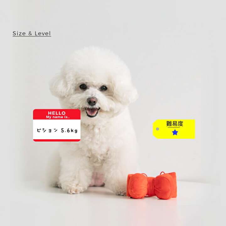 楽天市場 Bite Me Hbd 被れるリボントイ 犬用おもちゃ 犬のおもちゃ 人気 リボン 誕生日 プレゼント 音 ピーピー 小型犬 中型犬 人気 韓国 海外 犬 おもちゃ かわいい バイトミー Best Friends ベストフレンズ